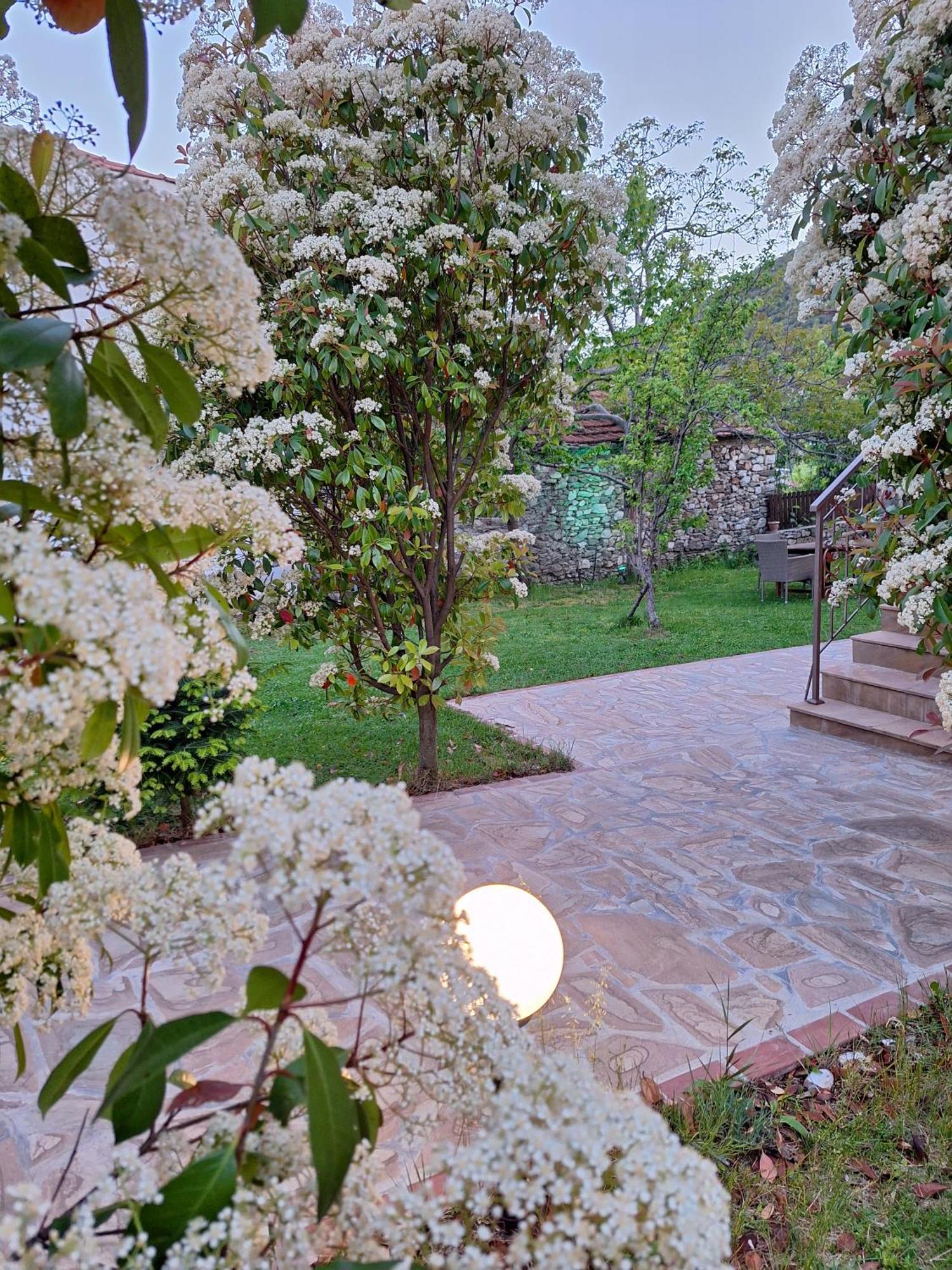 Country House On Mount Olympus Karia  Экстерьер фото